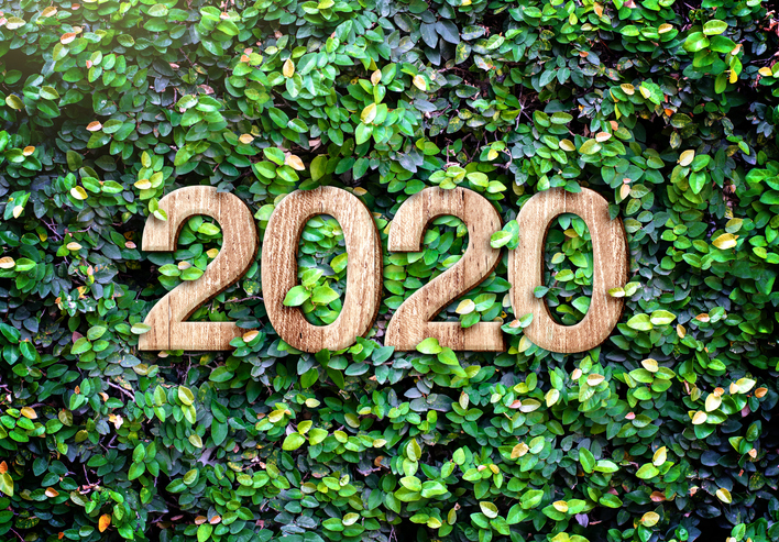 2020 happy new year wood texture number on Green leaves wall background,Nature eco concept,organic greeting card holiday.banner space for adding text