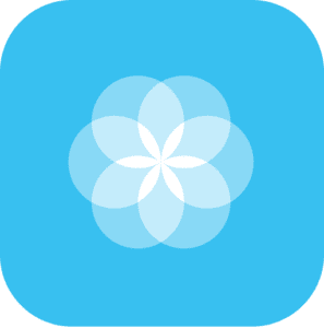 Salsify Logo Icon