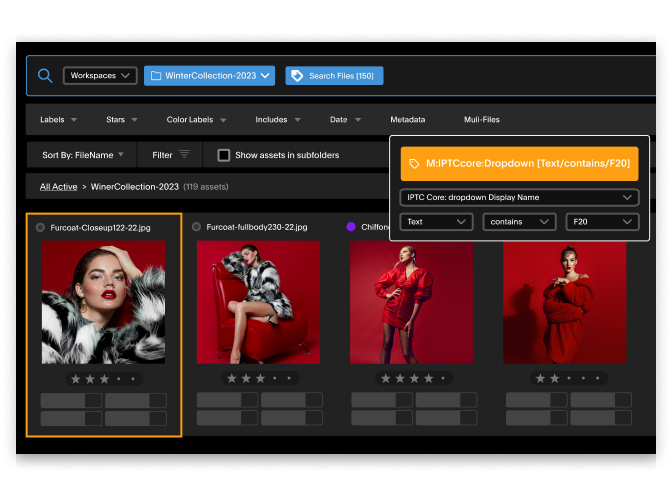 Digital Asset Management, globaledit®
