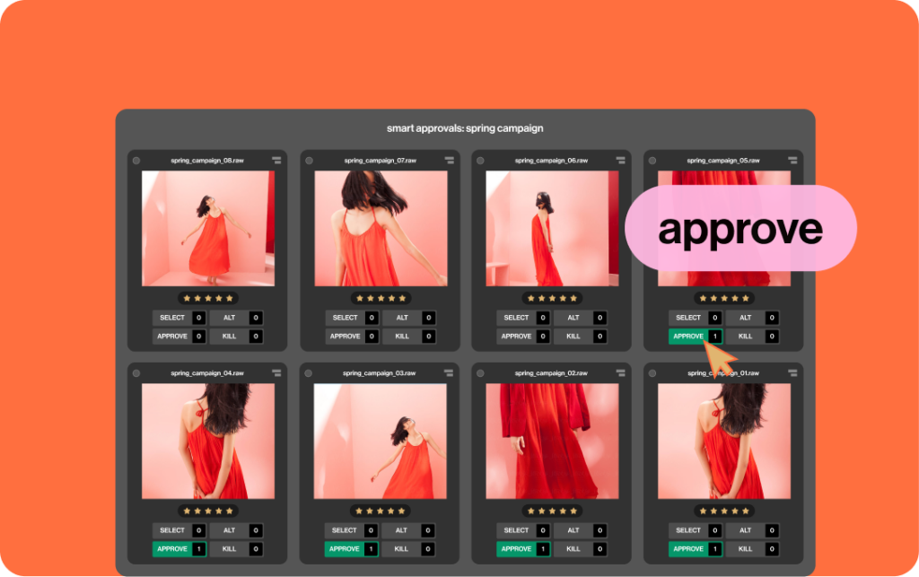 What is brand asset management?
